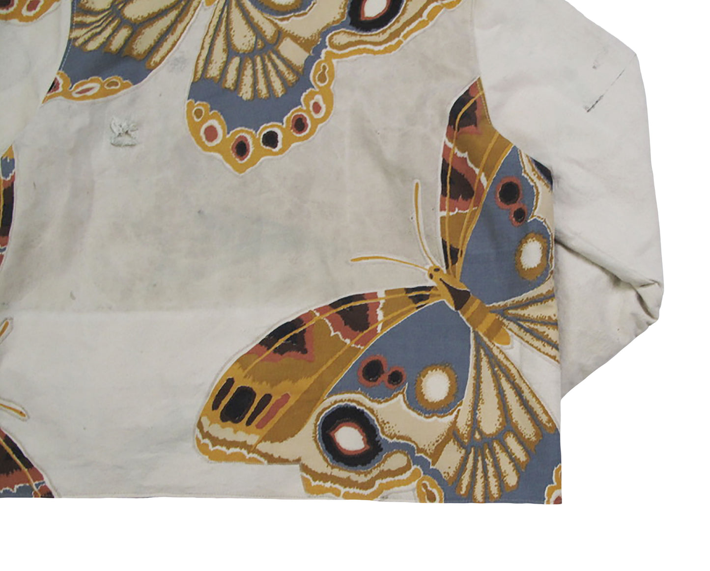 moth