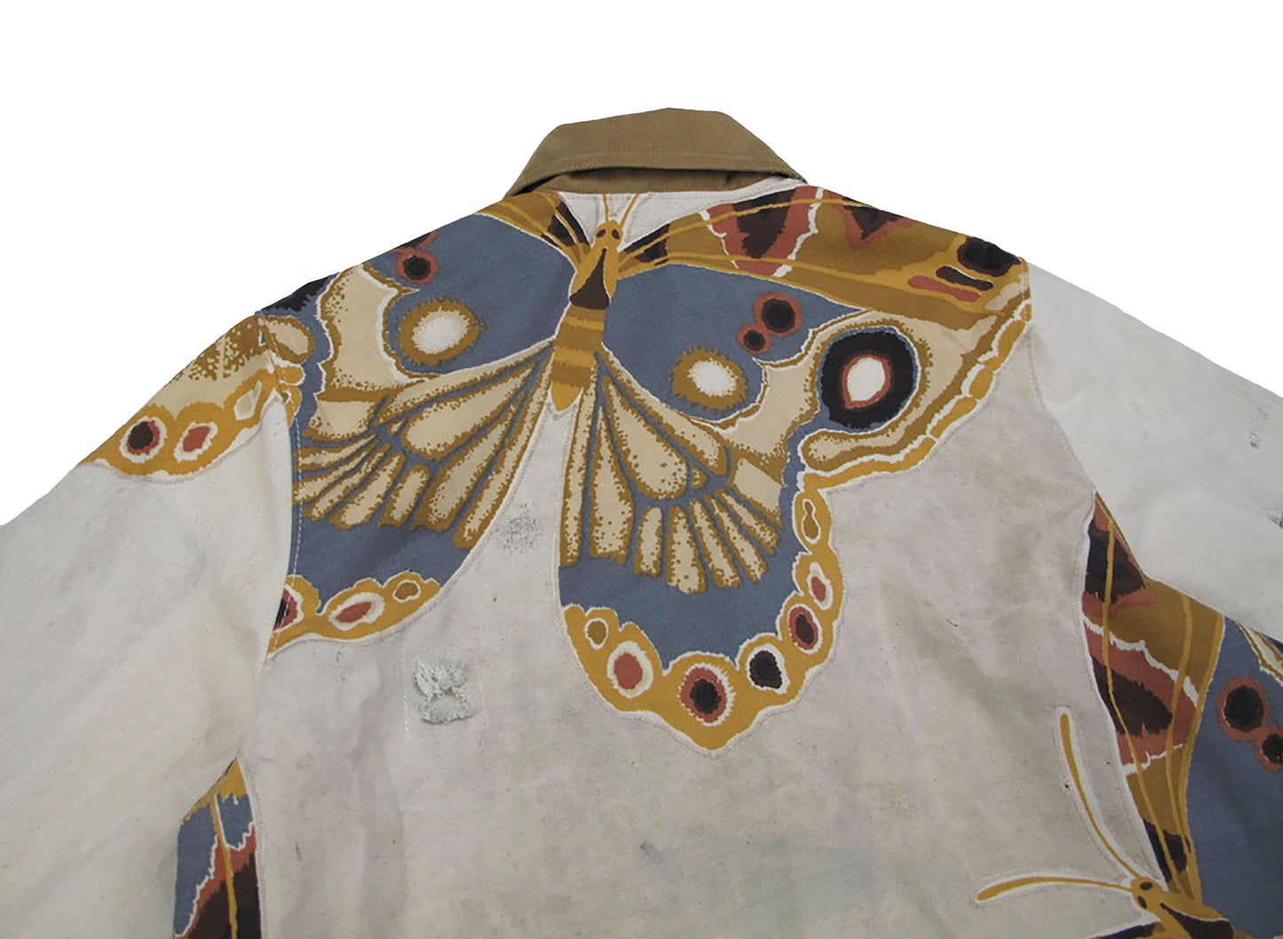 moth