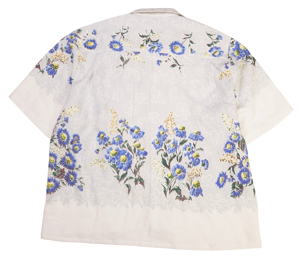 blue daisys
